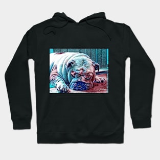 Bull Dog Dreamer Hoodie